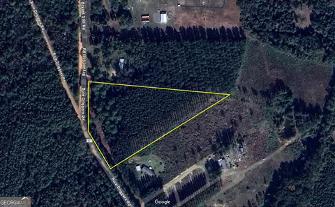0 Buie Driggers Rd, Brooklet, GA 30415