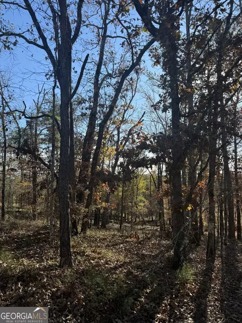 lot216 Anthemis Rd, Sparta, GA 31087