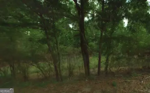 9600 County Line Rd, Midland, GA 31820