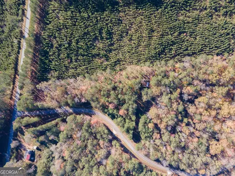 0 Willis Dick Rd, Franklin, GA 30217 photo 7