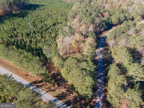 0 Willis Dick Rd, Franklin, GA 30217 photo 13