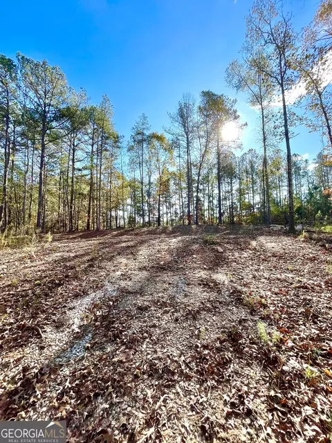 0 Willis Dick Rd, Franklin, GA 30217 photo 4