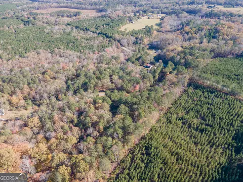 0 Willis Dick Rd, Franklin, GA 30217 photo 9