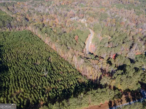 0 Willis Dick Rd, Franklin, GA 30217 photo 11