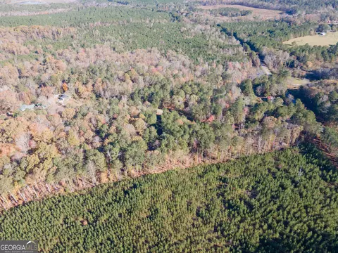 0 Willis Dick Rd, Franklin, GA 30217 photo 10