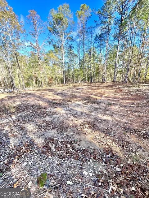 0 Willis Dick Rd, Franklin, GA 30217 photo 5
