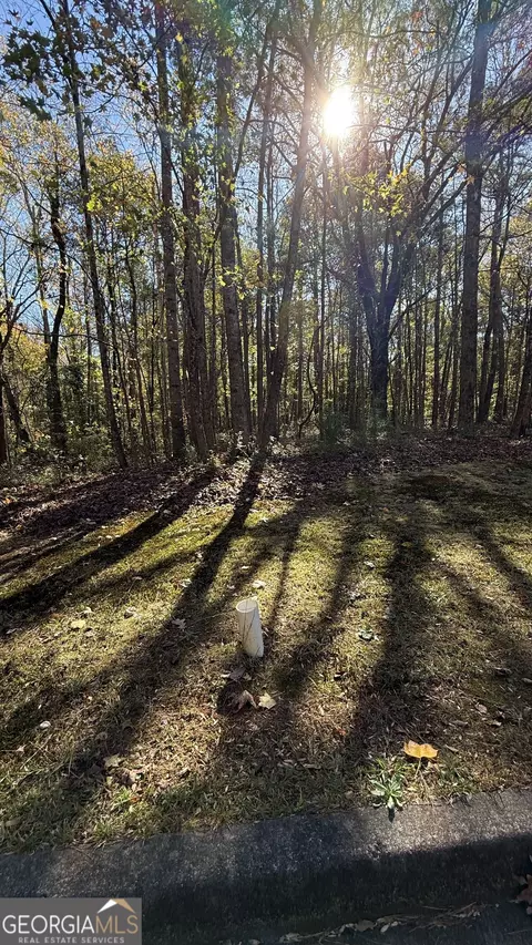 lot15 Of Fairview Springs Dr E, Ellenwood, GA 30294