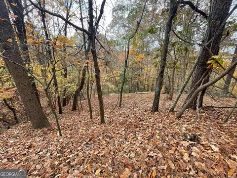lot468 Cherokee Ct, Ellijay, GA 30540