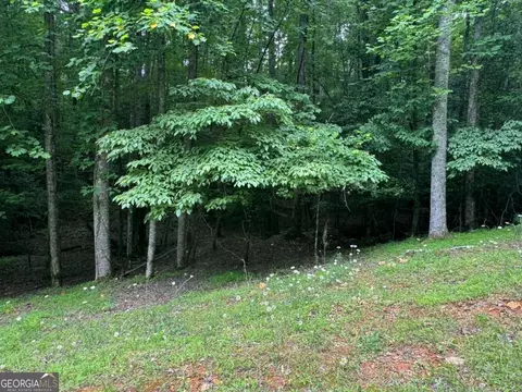 lot1721 Newport Dr, Ellijay, GA 30540