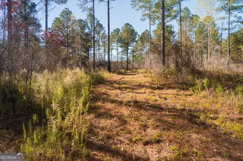 0 Ga Highway 26, Elko, GA 31025 photo 9