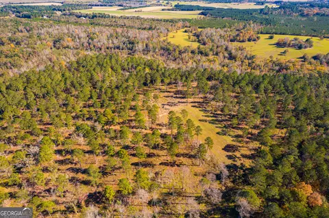 0 Ga Highway 26, Elko, GA 31025 photo 6