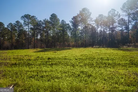 0 Ga Highway 26, Elko, GA 31025 photo 5