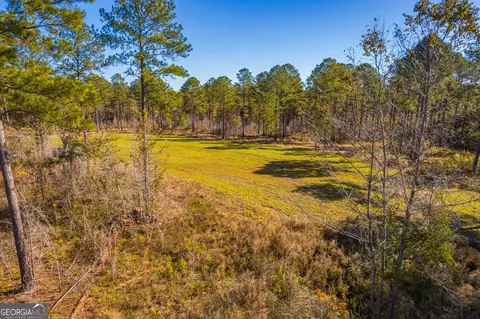 0 Ga Highway 26, Elko, GA 31025 photo 7