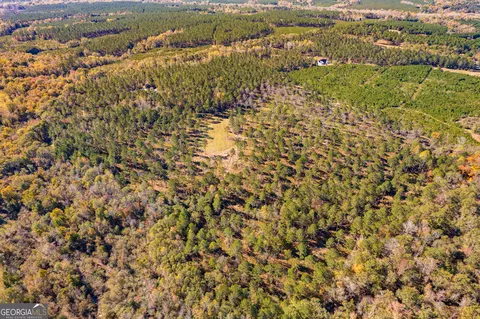 0 Ga Highway 26, Elko, GA 31025