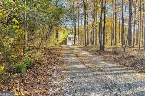 239 Steele Rd, Milner, GA 30257 photo 3