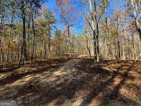 122 Ami Cemetery Rd, Menlo, GA 30731