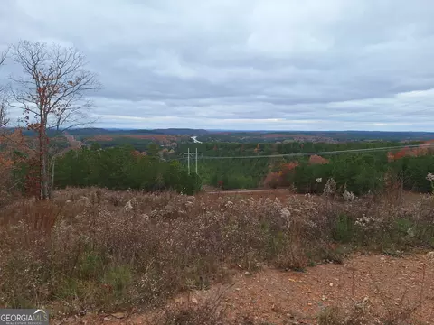 0 Dugdown, Buchanan, GA 30113 photo 2