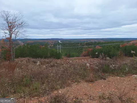 0 Dugdown, Buchanan, GA 30113 photo 5