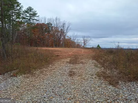0 Dugdown, Buchanan, GA 30113 photo 4