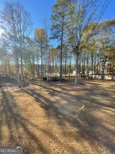 Other - 319 Lokeys Ln, Bethlehem, GA 30620 photo 6 of 6