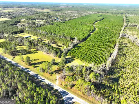112 Acres Telemore Dixie Union Rd, Waycross, GA 31501