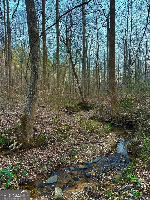 0 Tower Rd, Toccoa, GA 30577 photo 5