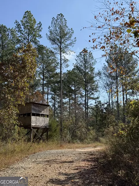 0 Tower Rd, Toccoa, GA 30577 photo 7