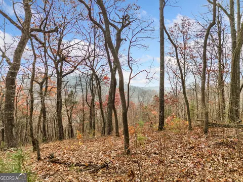 LT273 Andes Ridge #273, Ellijay, GA 30536