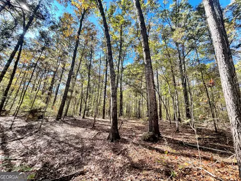 1 Teagle Rd, Forsyth, GA 31029 photo 2