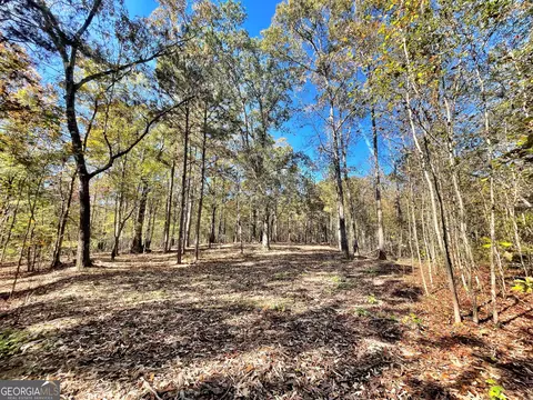 1 Teagle Rd, Forsyth, GA 31029 photo 4