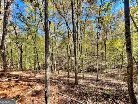 1 Teagle Rd, Forsyth, GA 31029