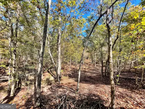 1 Teagle Rd, Forsyth, GA 31029 photo 7