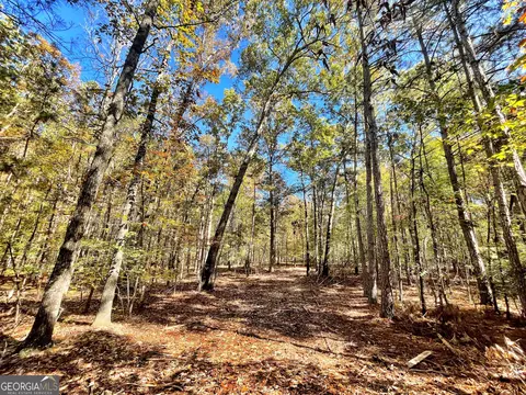 1 Teagle Rd, Forsyth, GA 31029 photo 6