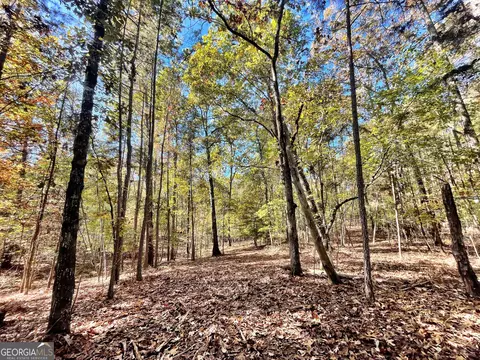 1 Teagle Rd, Forsyth, GA 31029 photo 5