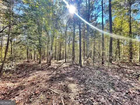 1 Teagle Rd, Forsyth, GA 31029 photo 3