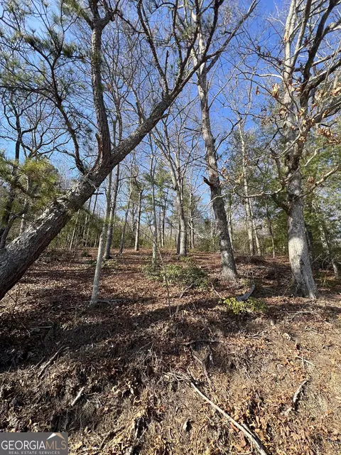 0 Edwards Way, Dillard, GA 30537