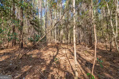 0 Ralph Rahn Rd, Rincon, GA 31326 photo 8