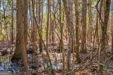 0 Ralph Rahn Rd, Rincon, GA 31326 photo 10