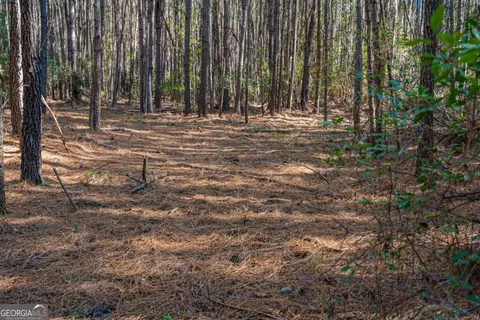 0 Ralph Rahn Rd, Rincon, GA 31326 photo 19