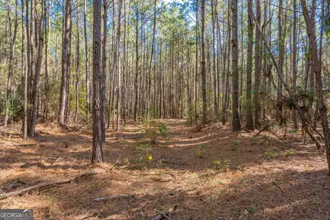 0 Ralph Rahn Rd, Rincon, GA 31326 photo 6