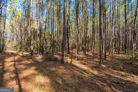 0 Ralph Rahn Rd, Rincon, GA 31326 photo 7
