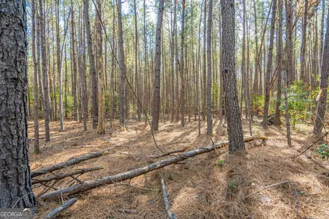 0 Ralph Rahn Rd, Rincon, GA 31326 photo 4