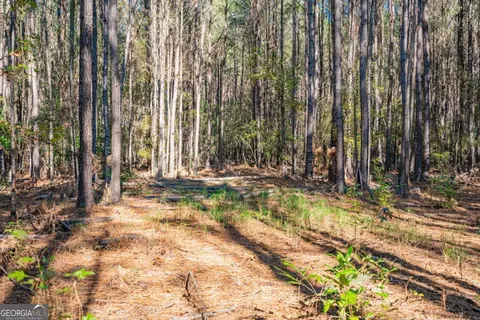 0 Ralph Rahn Rd, Rincon, GA 31326 photo 13
