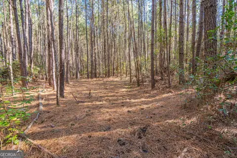 0 Ralph Rahn Rd, Rincon, GA 31326 photo 18