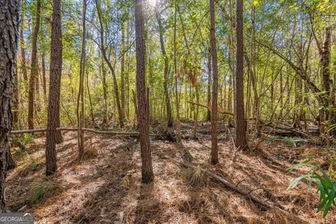 0 Ralph Rahn Rd, Rincon, GA 31326 photo 17
