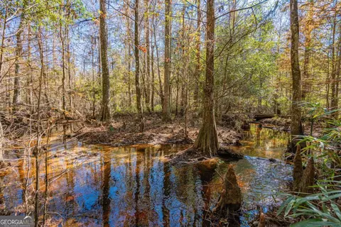 0 Ralph Rahn Rd, Rincon, GA 31326 photo 15