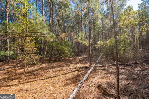 0 Ralph Rahn Rd, Rincon, GA 31326