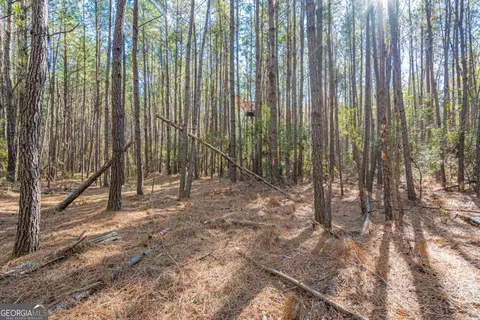 0 Ralph Rahn Rd, Rincon, GA 31326 photo 5