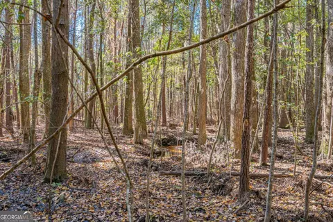 0 Ralph Rahn Rd, Rincon, GA 31326 photo 11