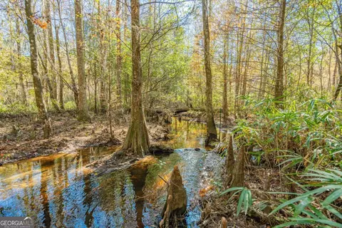 0 Ralph Rahn Rd, Rincon, GA 31326 photo 14